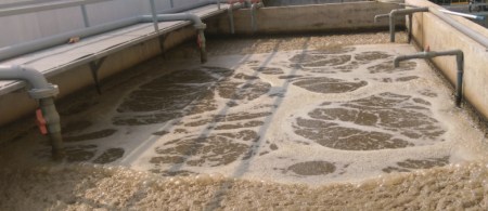 Hệ thống xử lý nước thải chăn nuôi - Thiết Bị Lọc Nước Tân á Mỹ - Công Ty TNHH Công Nghệ Môi Trường Và Thương Mại Tân á Mỹ